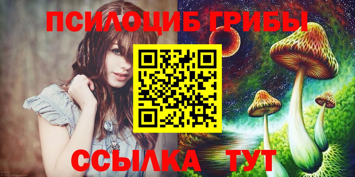Псилоцибиновые грибы прущие грибы Строитель