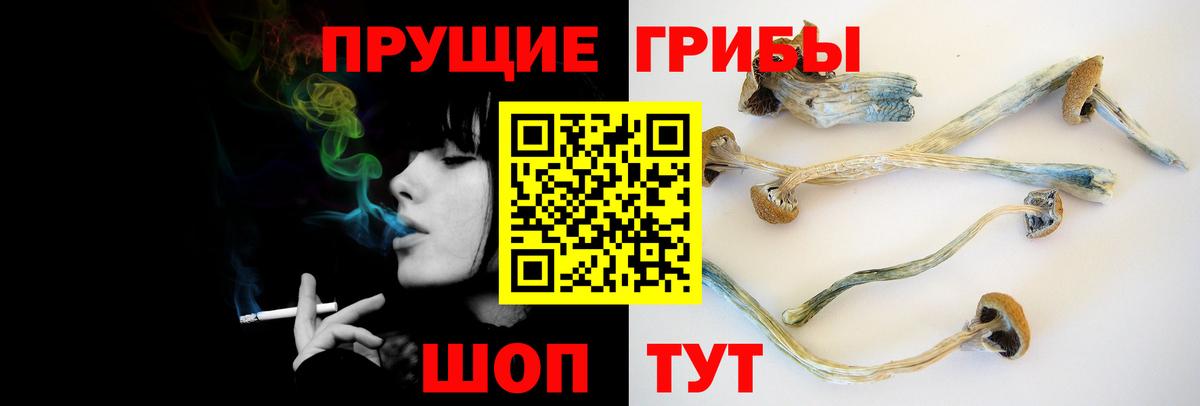Галлюциногенные грибы Magic Shrooms  где можно купить   Строитель  Вход с VPN 